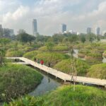 Amazing  เป็นmorning runที่สดชื่น สนุกมาก เริ่มต้นที่สวนลุมเดินเชื่อมไปสวนเบญจกิ...