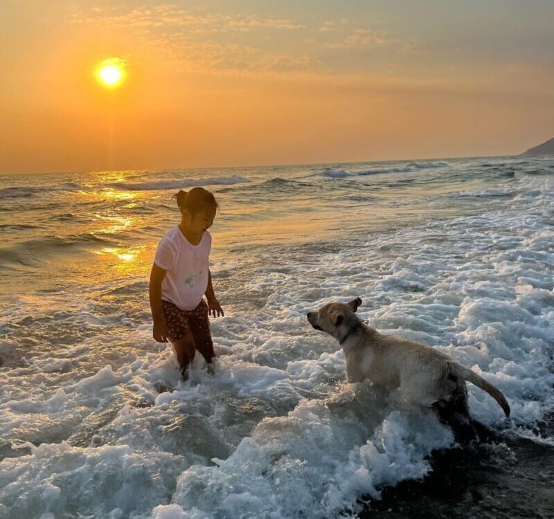 Dalila & Oscar Oscarกับการไปทะเลครั้งแรก สนุกสุดๆ คึกมากๆ วิ่งลงน้ำทั้งวัน ดาไลล...