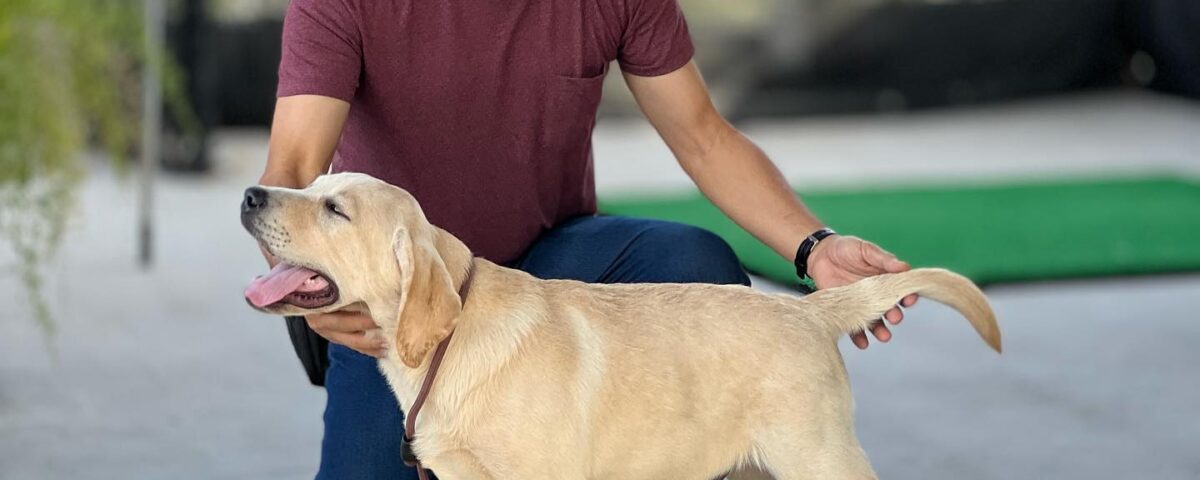 First day training for Oscar...