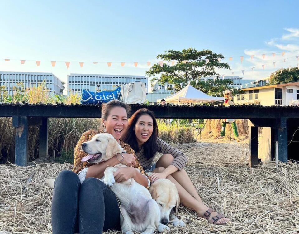 Happy Sunday  2 หมา 2 ป้า มาดที่ยวเล่นที่Sansiri Backyard ชุมชนสีเขียวใกล้บ้าน ส...