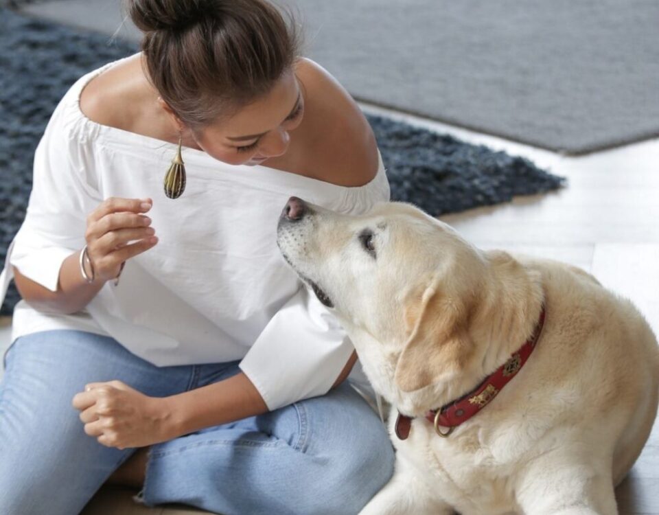 Herky & I  ปีนี้เฮอร์คี่จะอายุ15ปีแล้ว ยังแข็งแรงและขนเงาหนาเพราะทานไข่ cage fre...