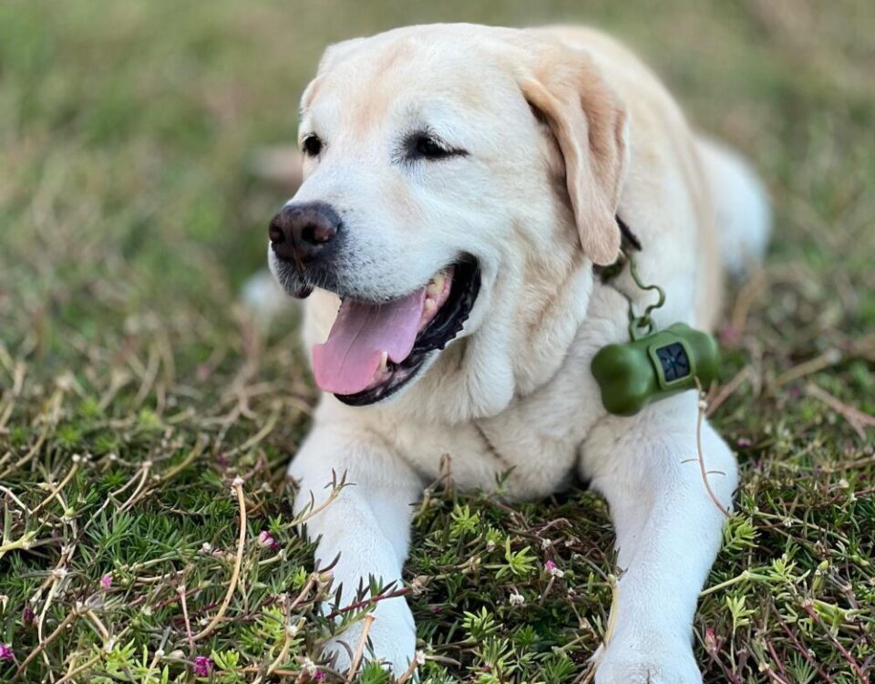 Herky ที่รัก...