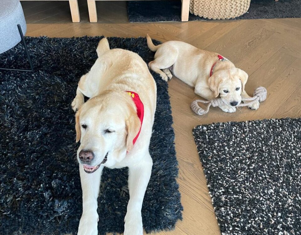 HerkyOscar เห็นหน้าปู่ก็รู้ว่าระอาความซนของหลาน...