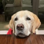 Herkyลูกรัก...