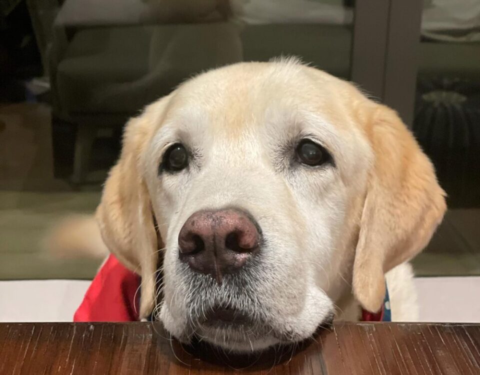 Herkyลูกรัก...