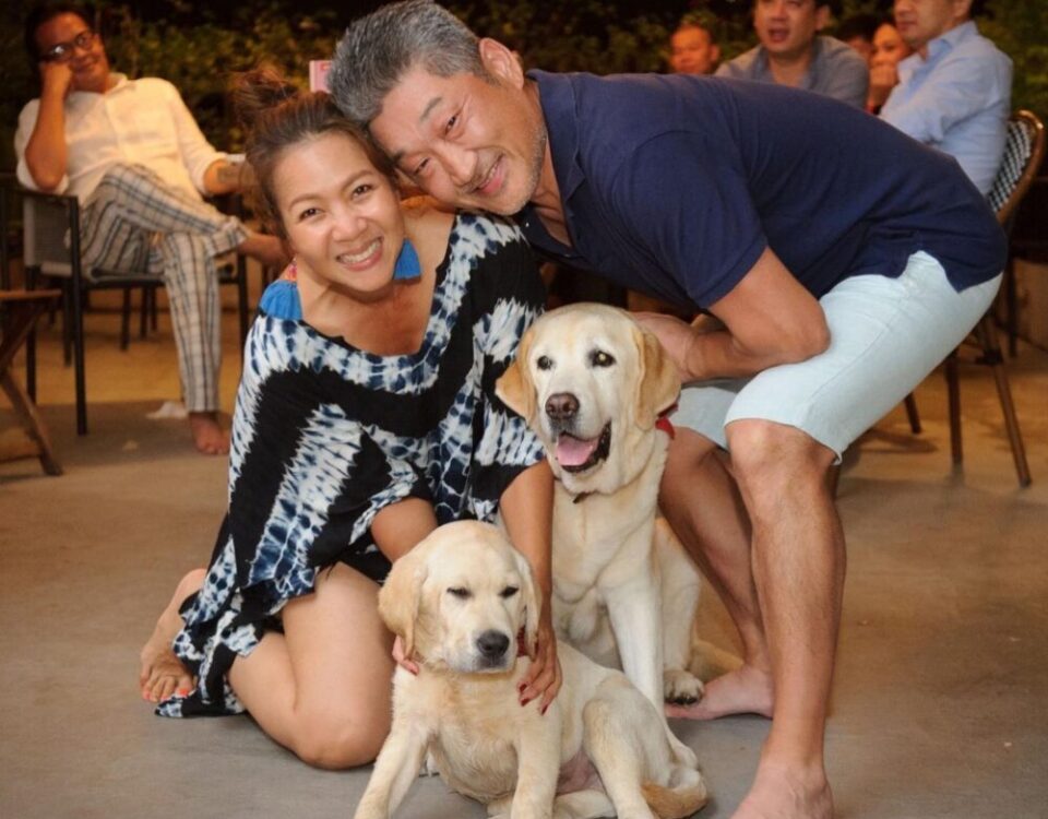 Love is all around...