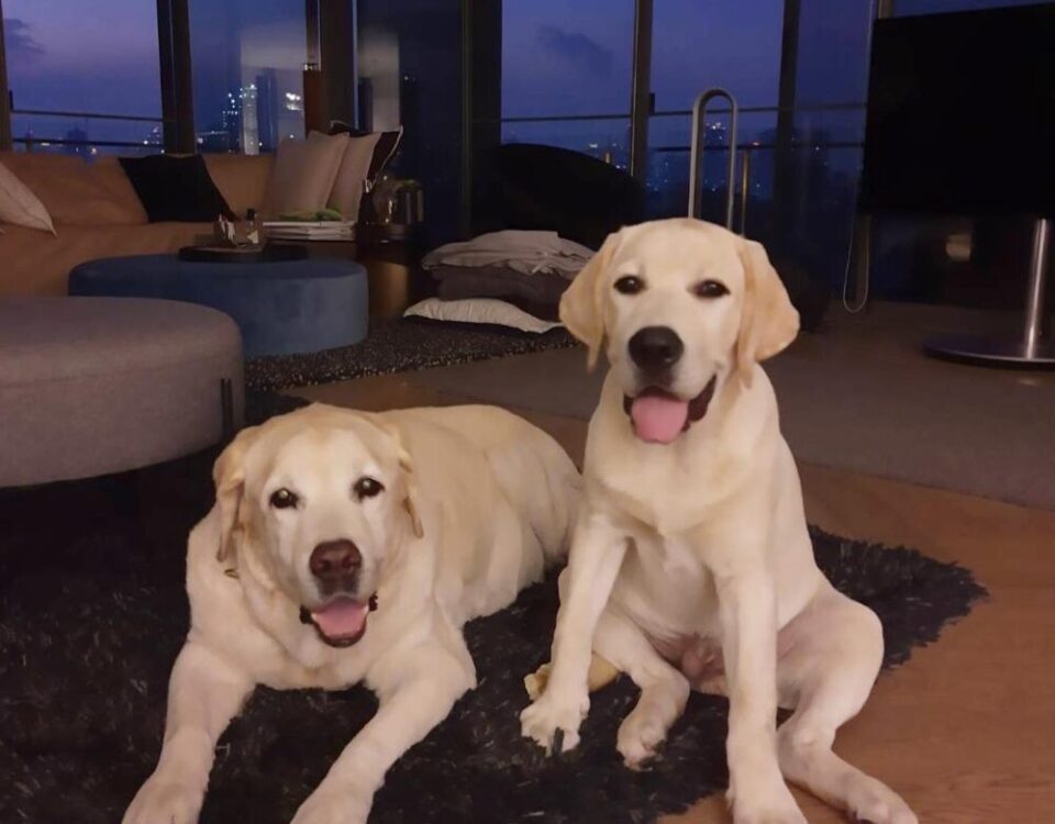 Oscar & Herky หน้าเหมือนกันอย่างกับแฝดต่างกันที่อายุ14 ปีเลยจ้า...