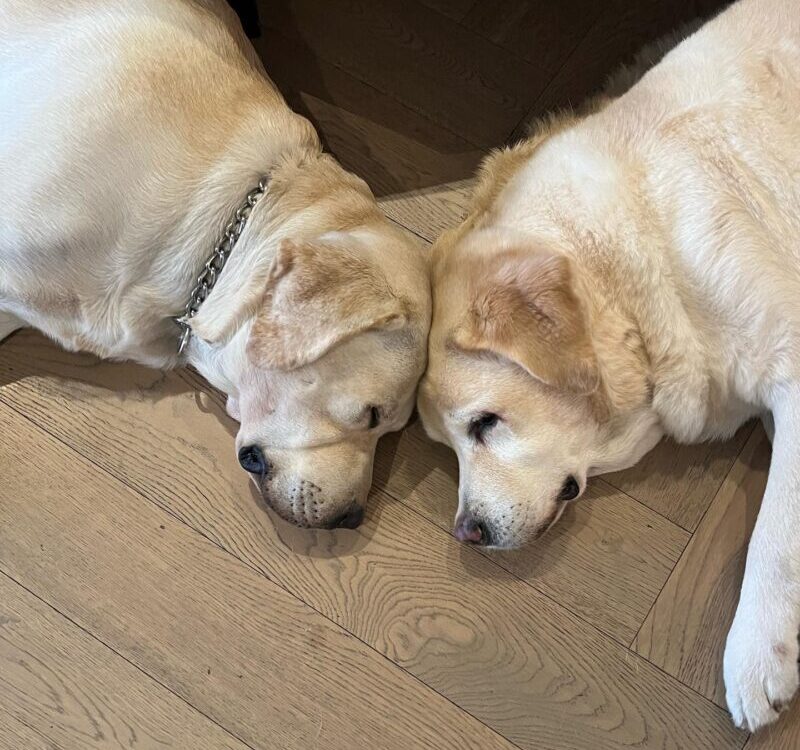 OscarHerky นอนติดกันท่าประจำ...