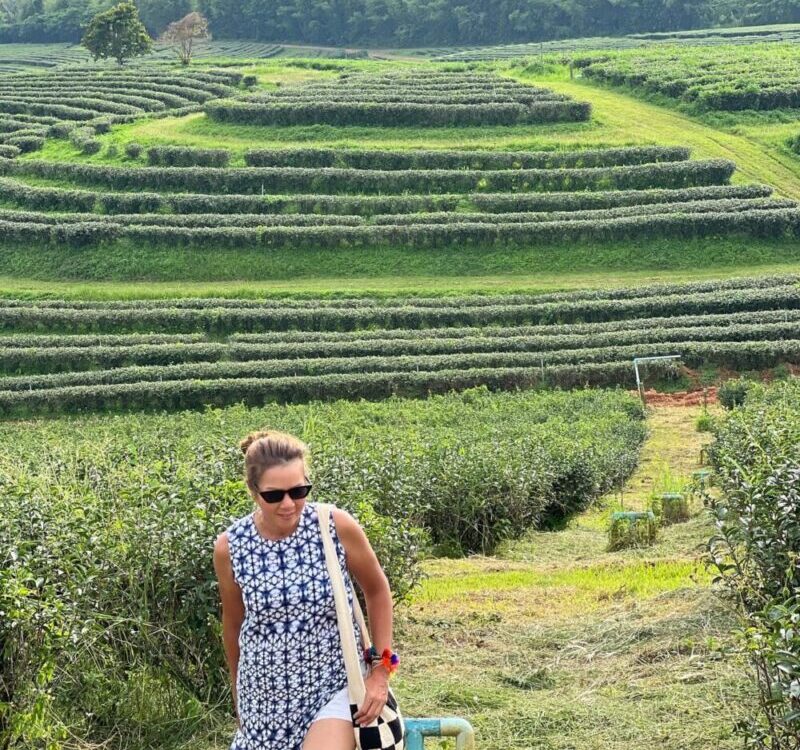 Tea Plantationat Singha Park Chiang Rai  ประสบการณ์ใหม่ ขับATVเข้าไปในไร่ชาของสิ...