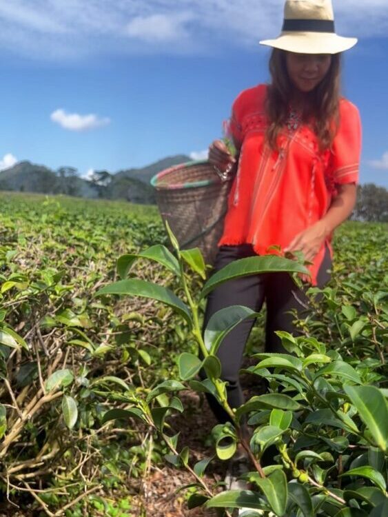 What a lovely day today  with...