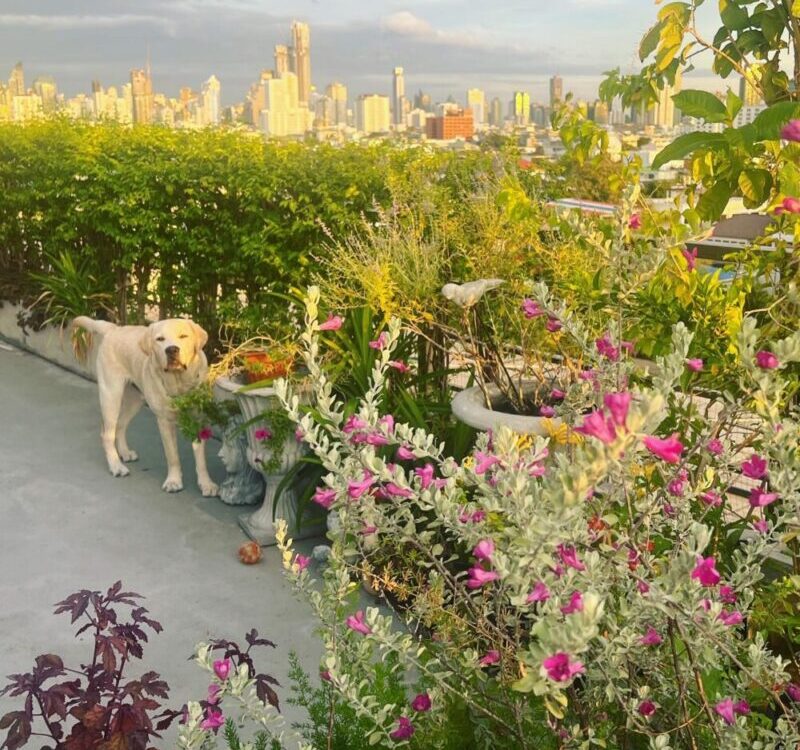 What a lovely weather today...