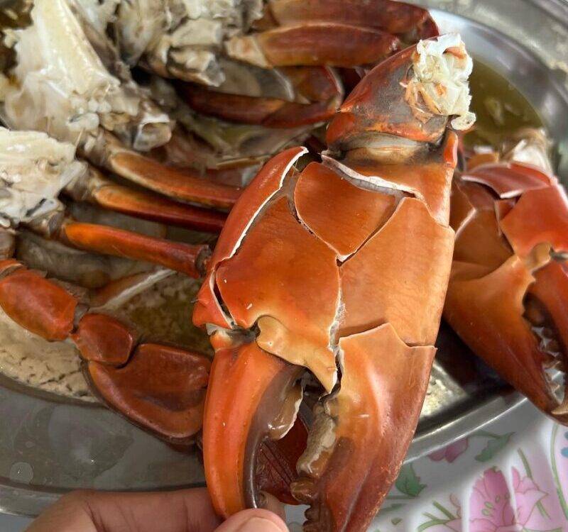 จบทริปครอบครัวกลับจากหัวหินต้องแวะร้านโปรด “แดง” อาหารทะเล  ที่สมุทรสาคร ปูนึ่งส...