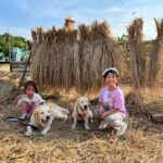 ชอบจัดมา2รอบ ต่อวัน ที่Sansiri Backyard พาริมา ริสา ออสก้า และเฮอร์คี่มาเดินเล่...
