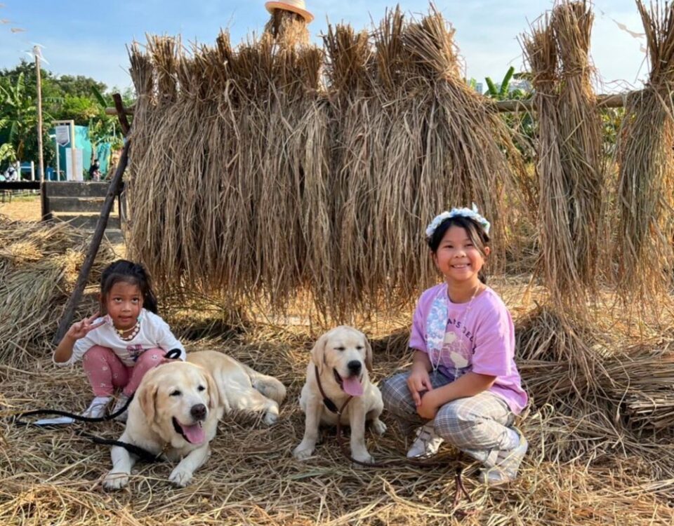 ชอบจัดมา2รอบ ต่อวัน ที่Sansiri Backyard พาริมา ริสา  ออสก้า และเฮอร์คี่มาเดินเล่...