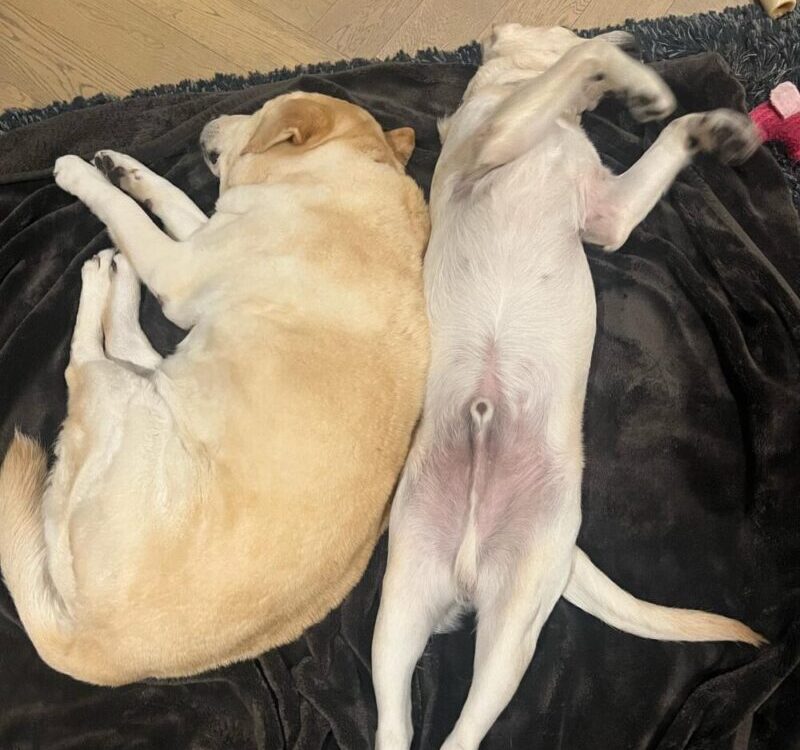 ท่านอน บอกนิสัย...