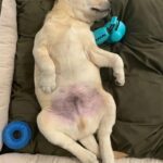 ท่านอนSignatureของOscar...