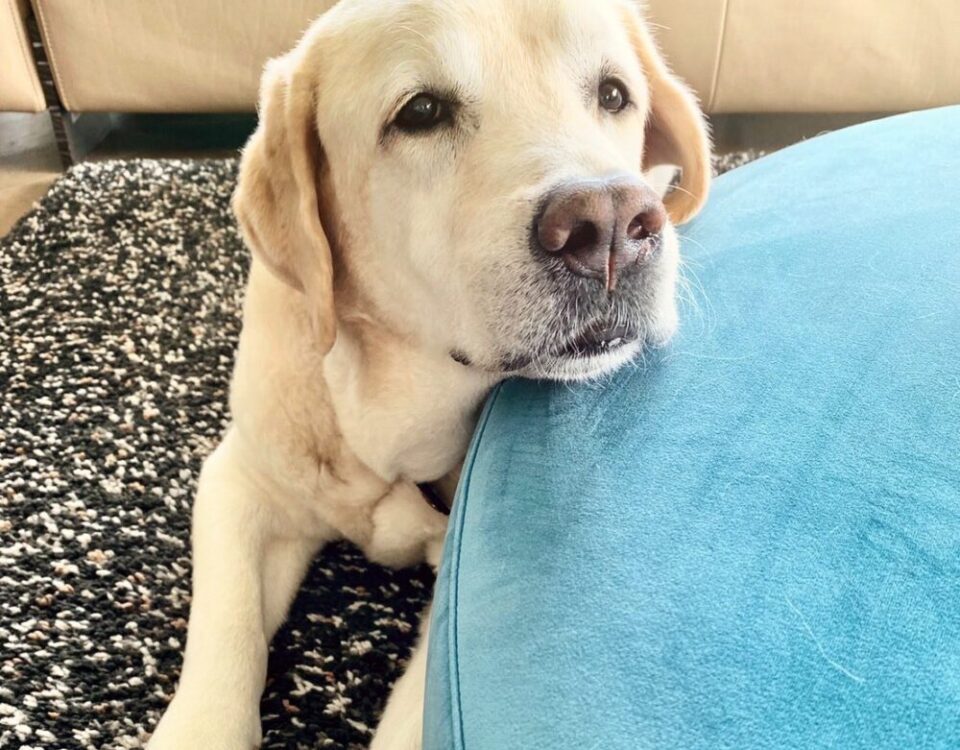 ท่าประจำ พี่พักคาง...