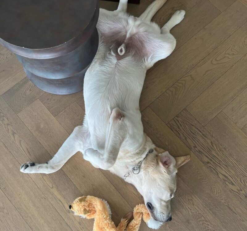 ท่าหลับยามบ่ายในวันสงกรานต์...