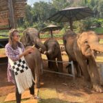 น้องช้างกับวิวร้อยล้าน...