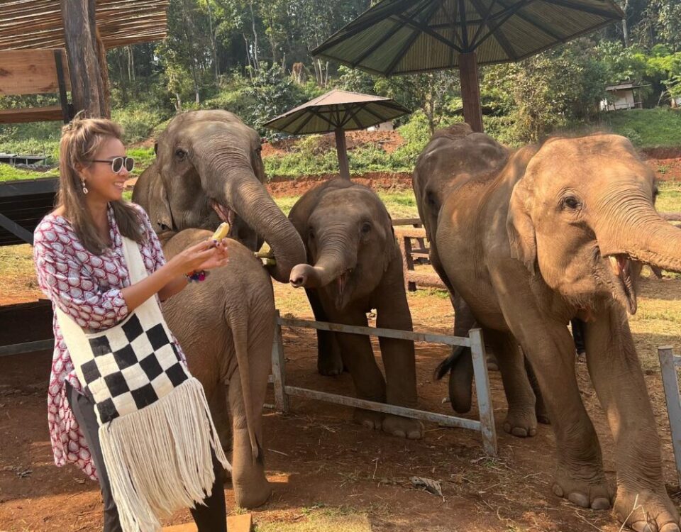 น้องช้างกับวิวร้อยล้าน...