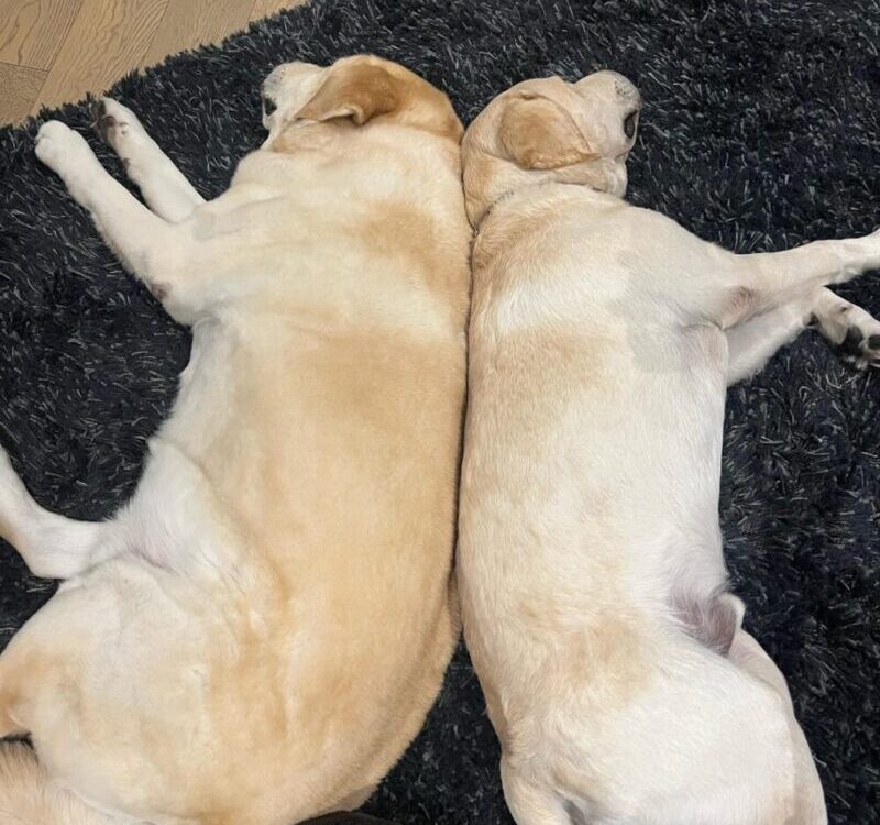 ผ่านไป7เดือน ออสก้าโตทันลุงเฮอร์คี่แล้ว...