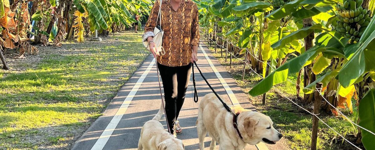 พา Oscar & Herkyมาเที่ยวที่ Sansiri Backyardทุกวัน Happyมาก หมาๆได้เพื่อนใหม่และ...