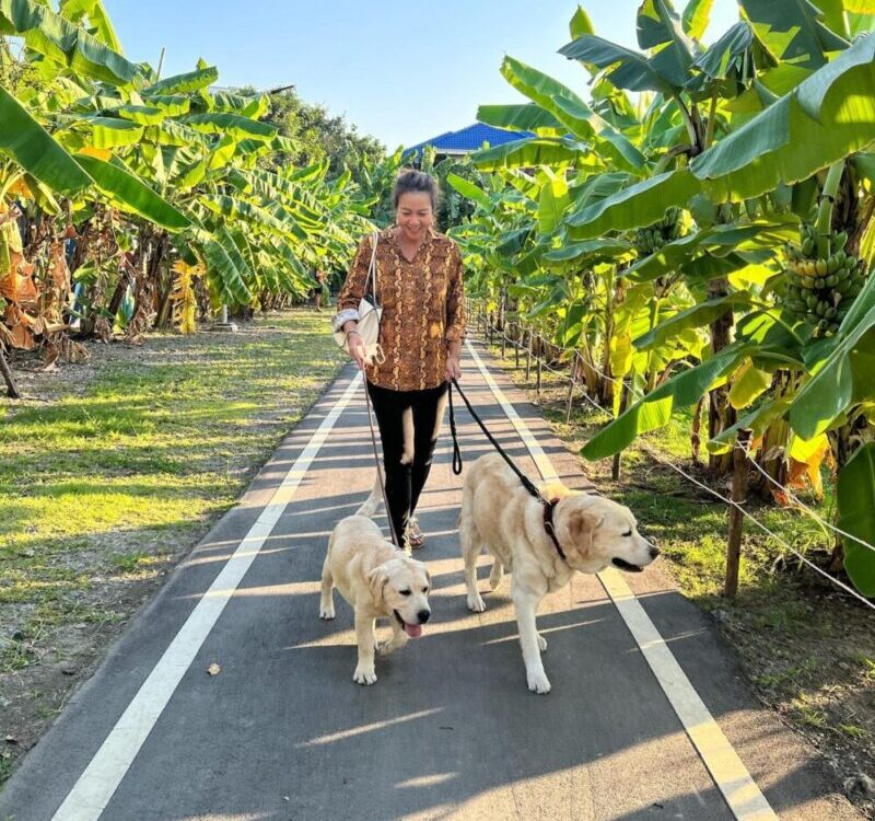 พา Oscar & Herkyมาเที่ยวที่ Sansiri Backyardทุกวัน Happyมาก หมาๆได้เพื่อนใหม่และ...