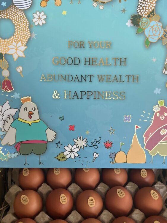 ว๊าย กล่องไข่ของขวัญ น่ารัก น่าให้ น่าใช้  สีฟ้าใส ลายสดชื่น ตีมสงกรานต์ ให้ใครก...