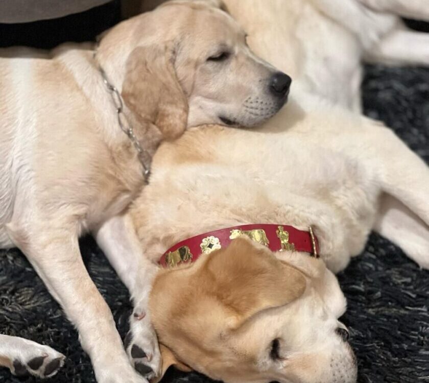 สงบสุข ชื่นใจ...