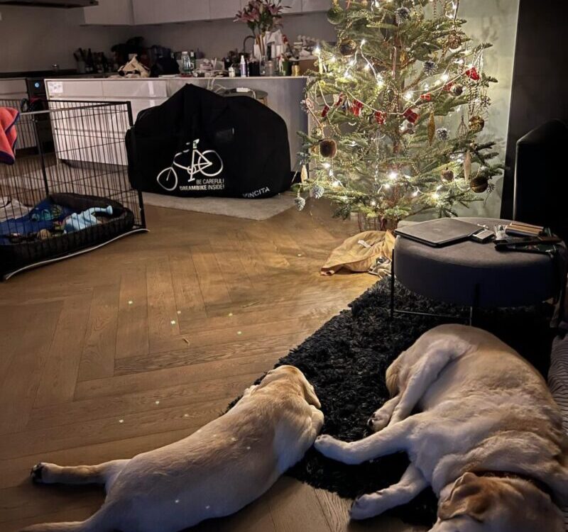 หมดแรง ออกเที้ยวทั้งวัน...