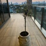 เป็นของขวัญที่ชอบที่สุด ขอบคุณน้องอัจ  และBCมากนะจ๊ะ...