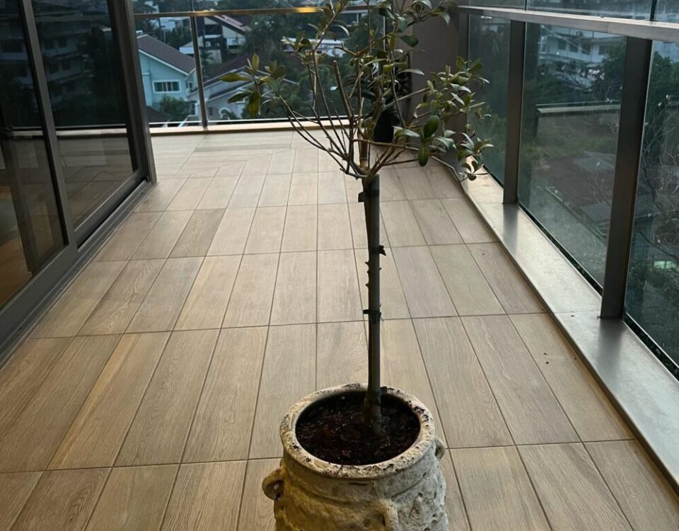 เป็นของขวัญที่ชอบที่สุด ขอบคุณน้องอัจ  และBCมากนะจ๊ะ...