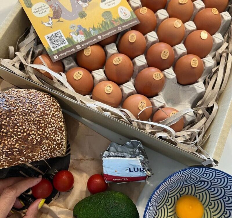 เพิ่มพลังด้วยไข่สดๆปลอดสารเคมี...