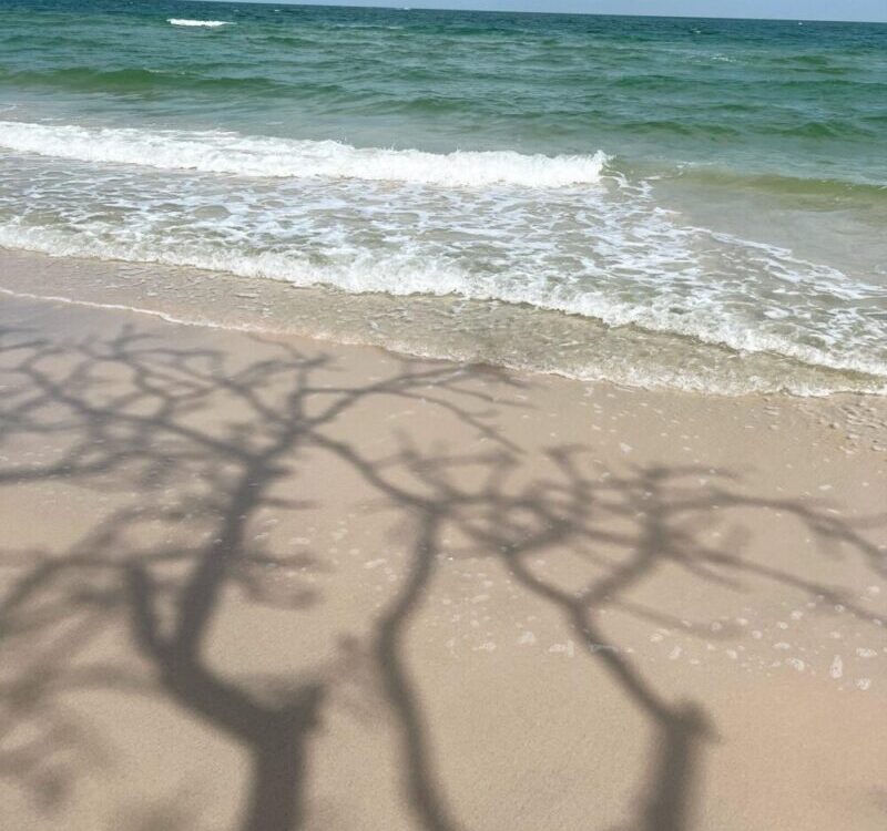 เริ่มต้นปี2022ด้วยการมาretreatอยู่กับตัวเอง ทานอาหารHealthyที่อร่อย เดินจงกรมทุก...