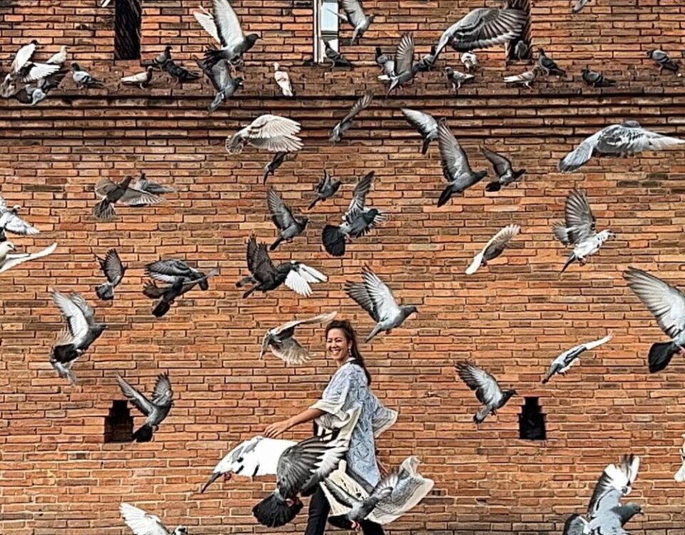 เสมือนภาพวาด...