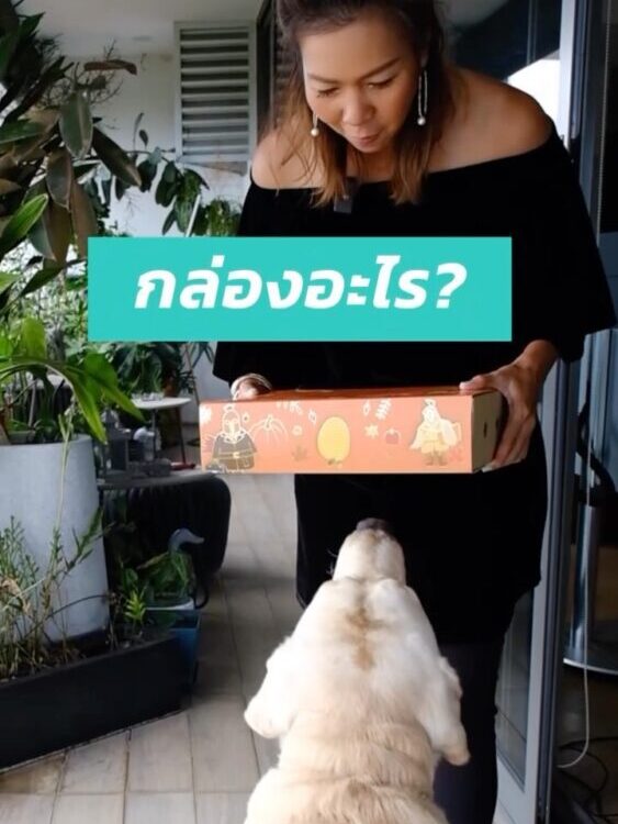 แจกจ่ายสุขภาพดี ด้วยกล่องไข่ของขวัญ จาก  ให้คนที่คุณรักและคิดถึง สีสัมต้อนรับ Ha...