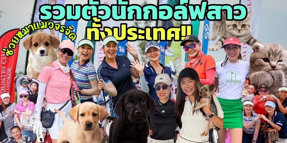 มาแล้วค่ารวมตัว นักกอล์ฟสาวสวย กว่า100ชีวิต ที่นี่ ที่เดียว 
ใน แพรคิทเช่นYoutub...