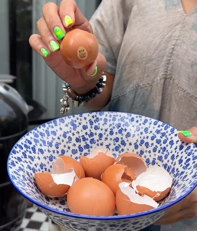 วิธีเอาเปลือกไข่ไปทำปุ๋ยง่ายๆ ที่บ้าน...