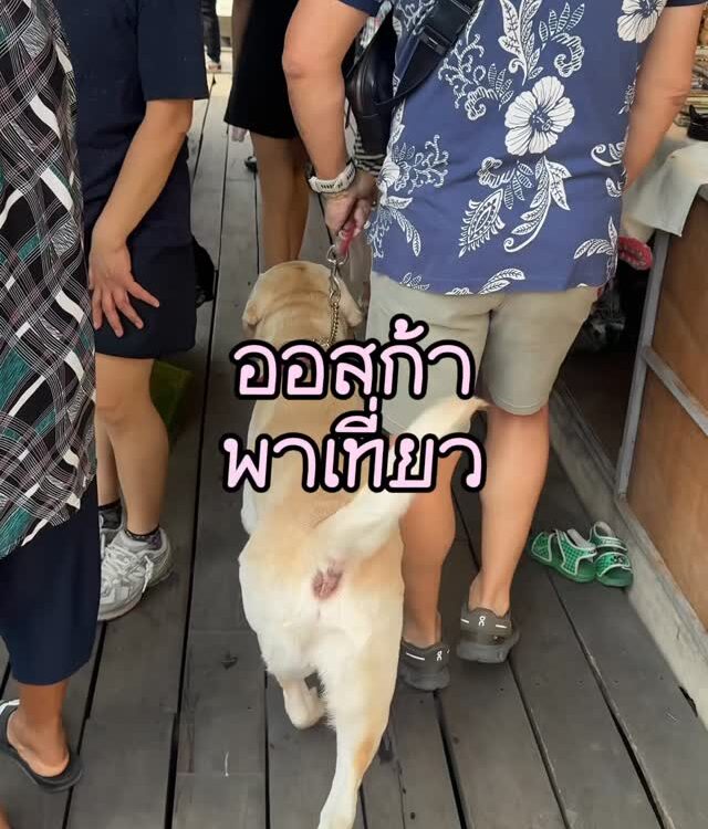 ออสก้าลงเรือครั้งแรก!! ที่ตลาดน้ำตลิ่งชัน ก่อนไปตลาดไปทานก๋วยเตี๋ยวเนื้อร้านโปรด...