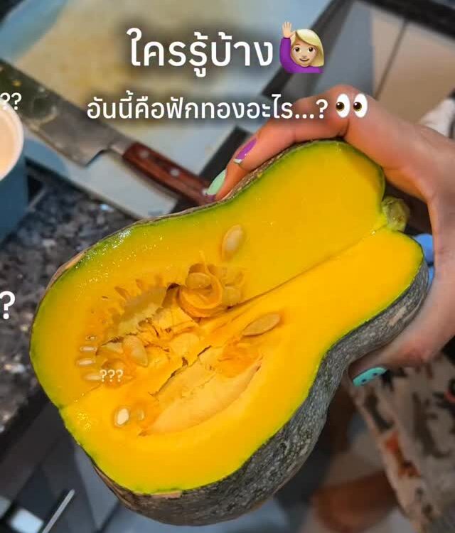 ลองเมนต์มาก่อน แล้วค่อยดูเฉลย
อย่าโกงนะ ลองเดากันดูค่ะ?...
