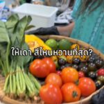 ตอนเด็กเคยคิดว่ามะเขือเทศ = สีแดงเท่านั้น แต่มันมีมากกว่านั้น ทั้งเขียว เหลือง ด...