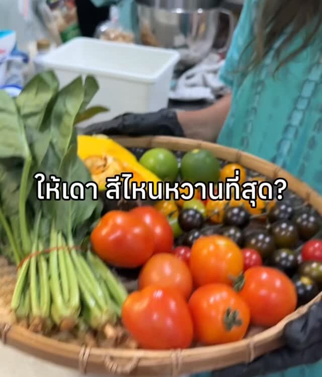 ตอนเด็กเคยคิดว่ามะเขือเทศ = สีแดงเท่านั้น แต่มันมีมากกว่านั้น ทั้งเขียว เหลือง ด...