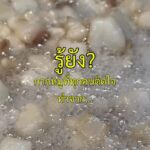 อ้วนไม่กลัว กลัวไม่ได้กิน...