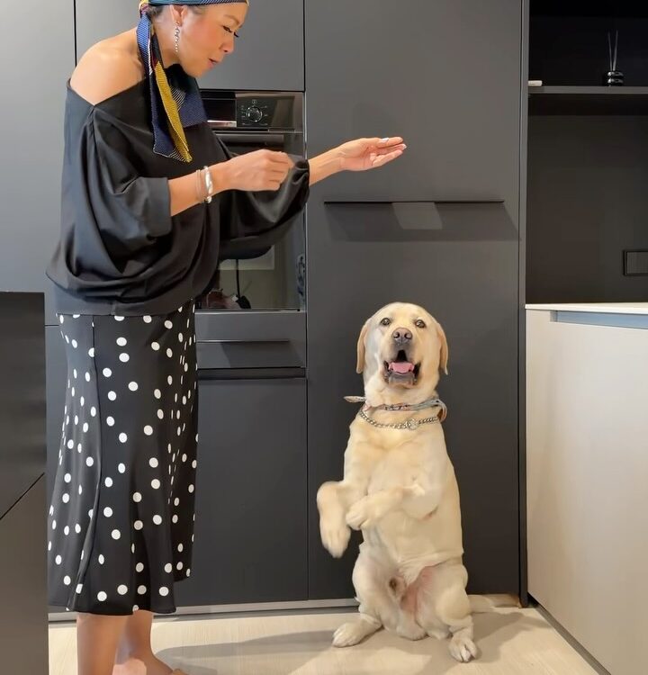 ออสก้าน่ารักไหมครับพี่พี่...