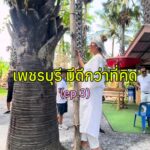 ความสุขของการเที่ยวเพชรบุรี คือการได้เห็นอะไรที่ไม่เคยเห็นมาก่อน 

ครั้งนี้เราได...