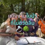 งานแต่งงานในป่า…ที่เต็มไปด้วยความรัก 

ครั้งแรกของแพรกับการบินไปร่วมงานแต่งงานที...