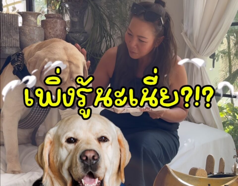 ใครกำลังทำบ้านเหมือนแพรบ้างคะ ?
แพรมีเรื่องแอร์มาเล่าให้ฟังค่ะ
เมื่อก่อนแพรเลือก...