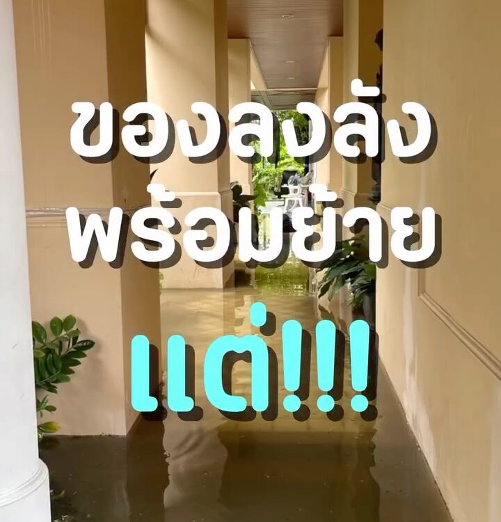 วันนี้น้ำยังไม่ลดค่ะ
และเราก็ยังย้ายไปบ้านพ่อไม่ได้เหมือนที่ตั้งใจไว้
ของเกือบท...