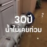 วันนี้ตั้งใจว่าจะเป็น “วันย้ายบ้าน”
แต่ตื่นมาเจอน้ำท่วม…แผนทุกอย่างเปลี่ยนหมด 

...