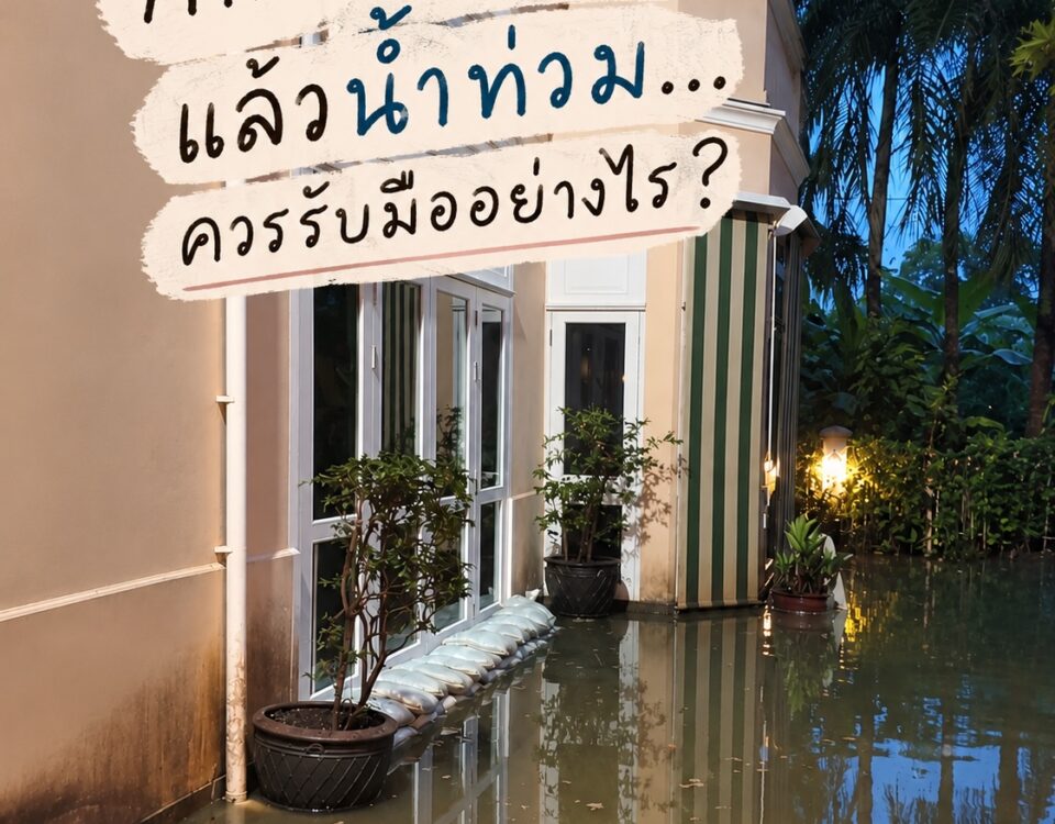 กำลังรีโนเวทบ้าน
แล้วน้ำท่วม…
ควรรับมืออย่างไร?
ช่วงที่บ้านกำลังอยู่ระหว่างการร...